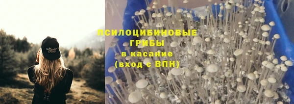 МДМА Лабытнанги