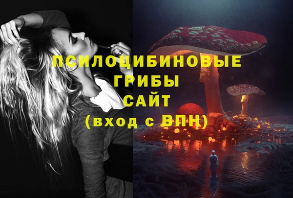 соль ск Абинск